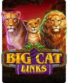 Big Cat Links